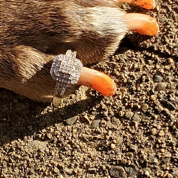 Meet your Posher, Gloria - Picture 6 of 8